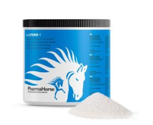 PharmaHorse L-Lysine+ paard (500 gram)