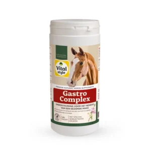 VitalStyle GastroComplex (1kg)